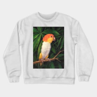 White Bellied Parrot Crewneck Sweatshirt